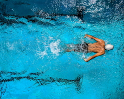 What Triathletes Can Learn from Olympic Champions